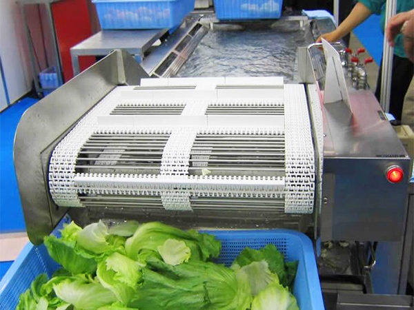 蔬菜清洗流水線(xiàn)（清洗部分）